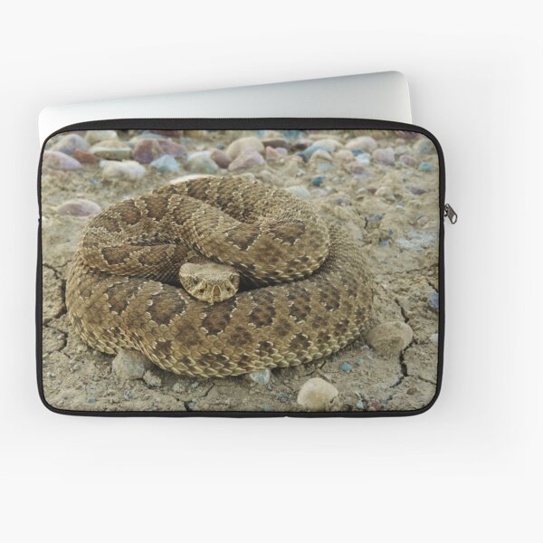Coiled Laptop Sleeve