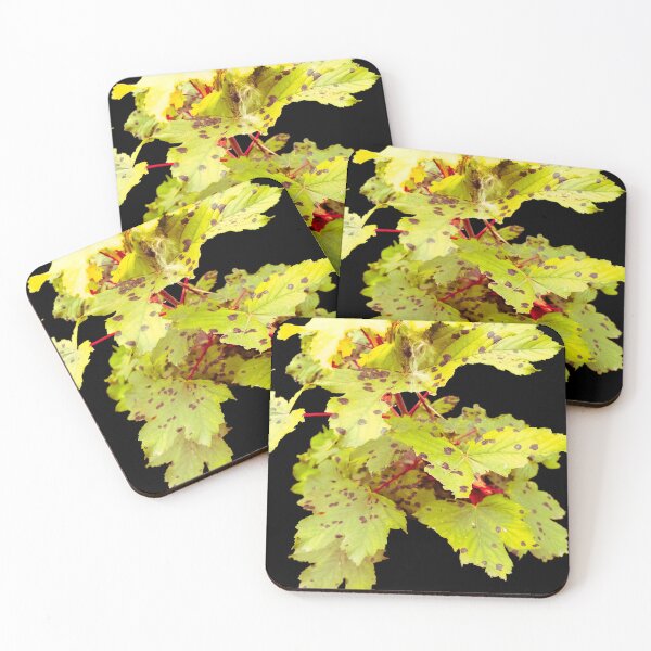 Item preview, Leaves on Black Background designed and sold by Olympia Ellinas.