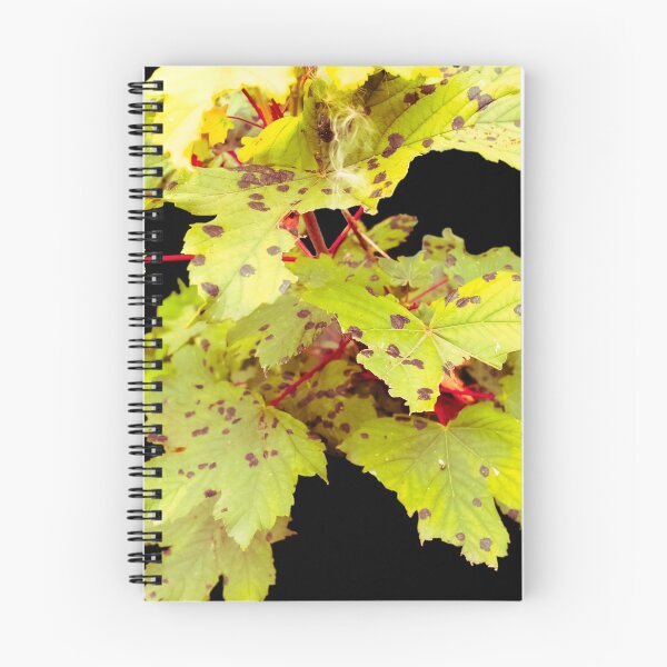 Item preview, Leaves on Black Background designed and sold by Olympia Ellinas.