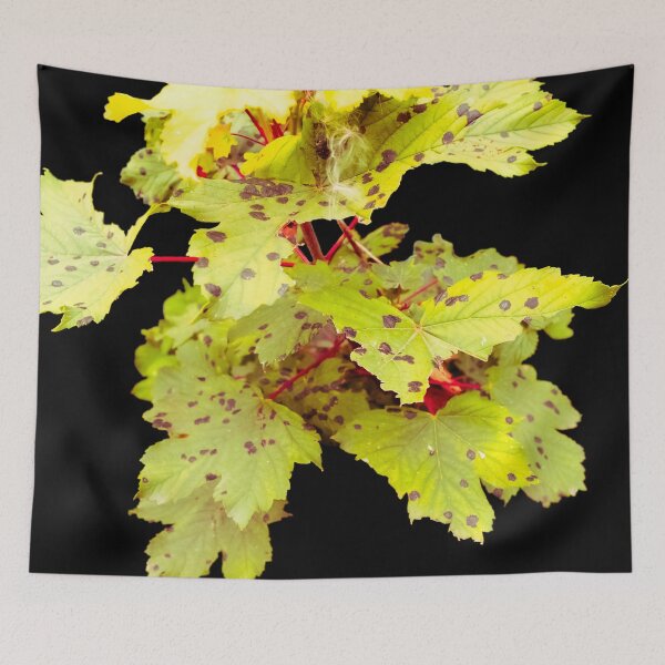 Item preview, Leaves on Black Background designed and sold by Olympia Ellinas.