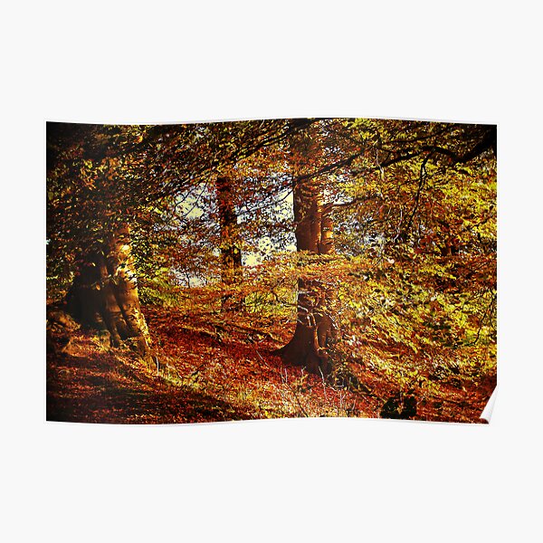 Autumn's Golden Glow. Poster