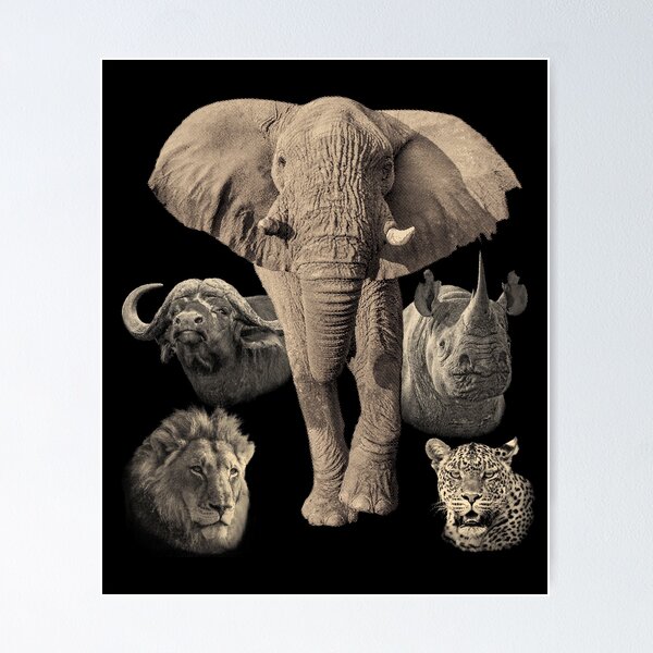 Big Five Africa Safari Poster