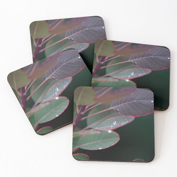 Item preview, Shimmer designed and sold by TKatzPhotos.