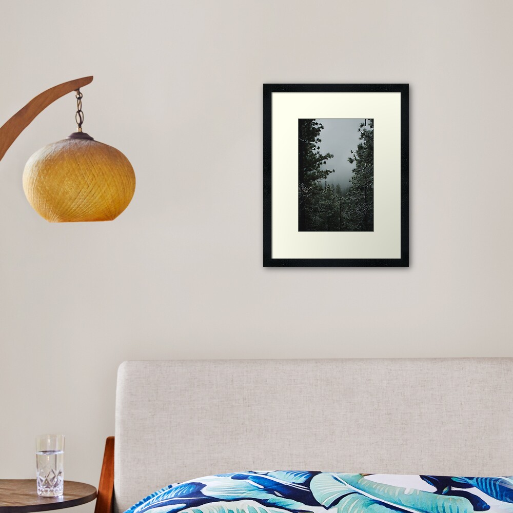Backwoods Winter Framed Art Print