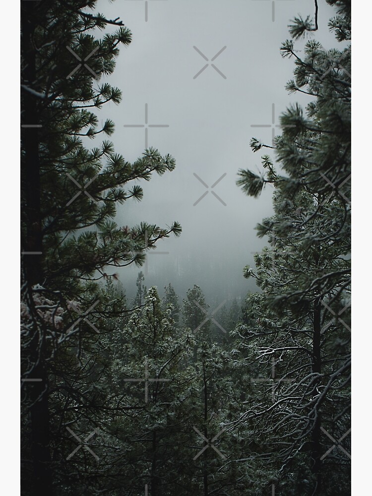 Backwoods Winter by va103