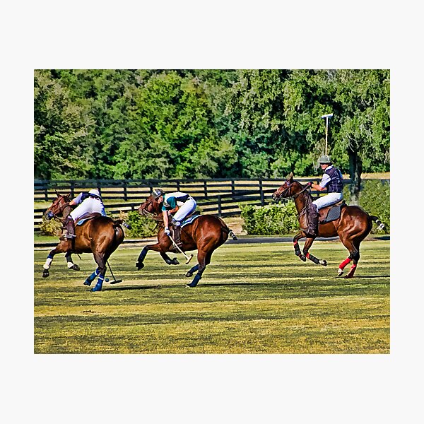 Polo! Photographic Print