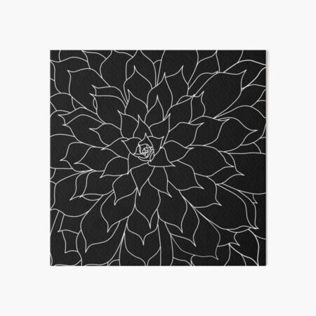 Black and White Succulent Art Board Print