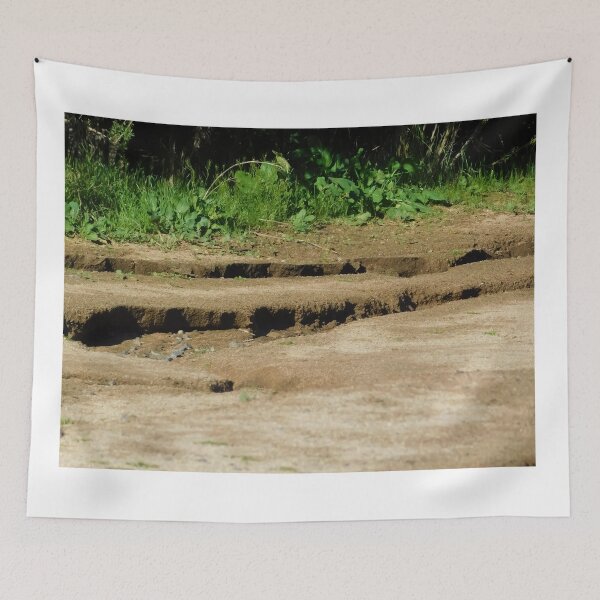 Item preview, Holy ground designed and sold by MChabalaRussell.