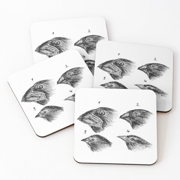 Item preview, Darwin's finches designed and sold by The Curious Cat.