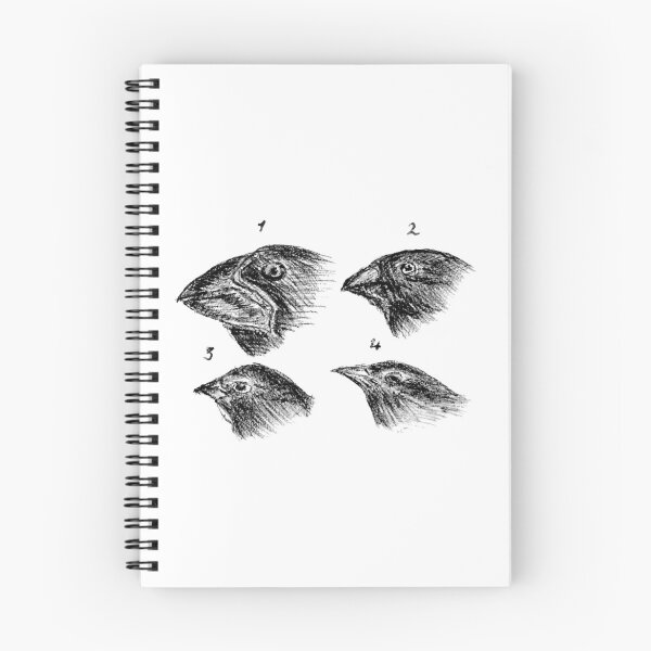 Item preview, Darwin's finches designed and sold by The Curious Cat.