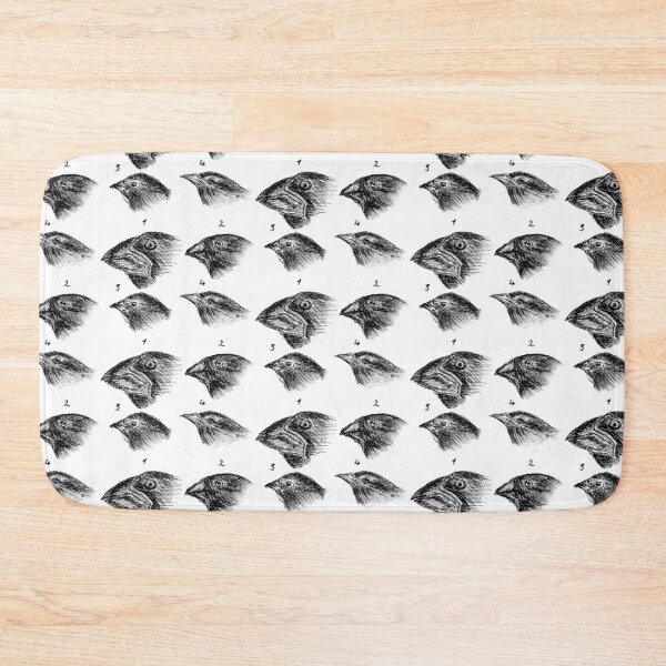 Item preview, Darwin's finches designed and sold by The Curious Cat.