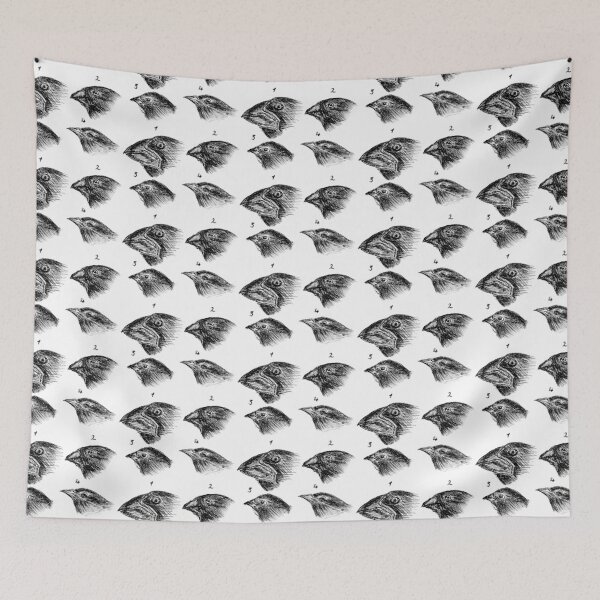 Item preview, Darwin's finches designed and sold by The Curious Cat.
