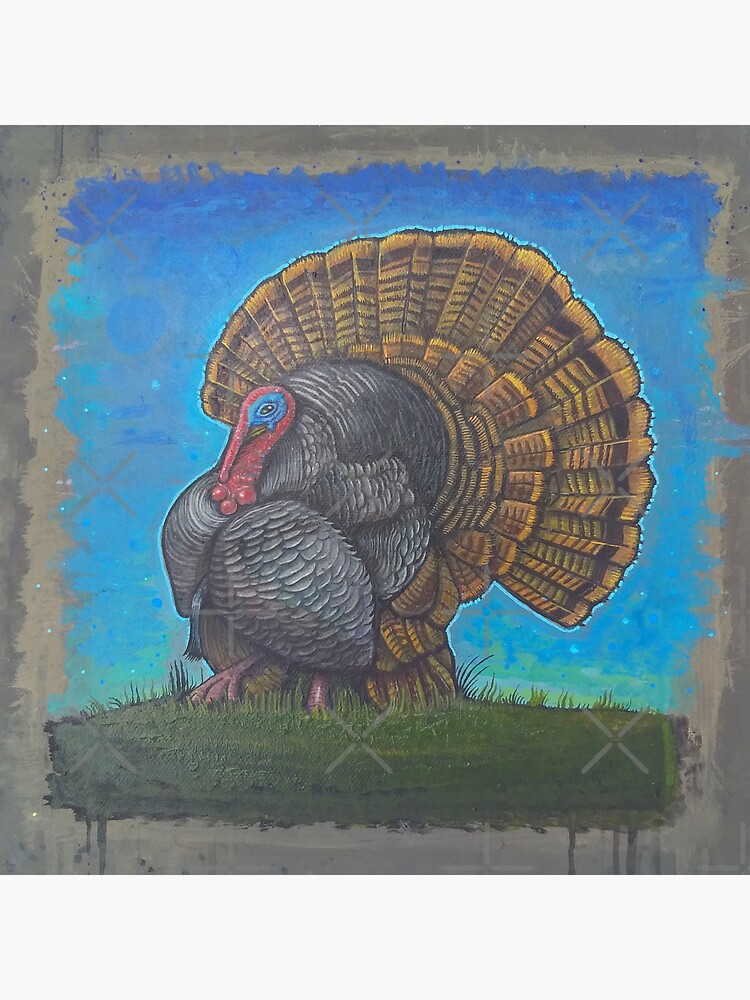 Wild Turkey by Chrisjeffries24