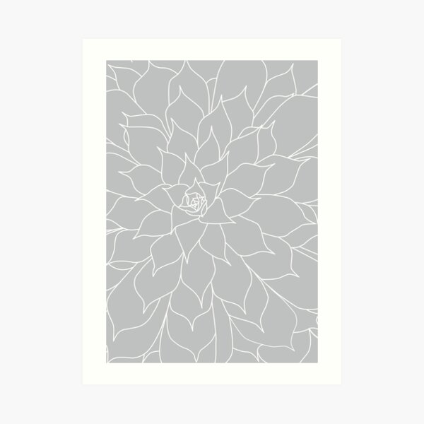 Grey and White Succulent Art Print