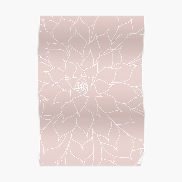 Blush Pink Succulent Poster