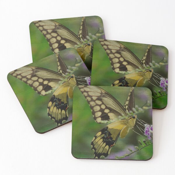 Item preview, Swallowtail in Pink designed and sold by KbytesOfJax Outdoor and Nature.
