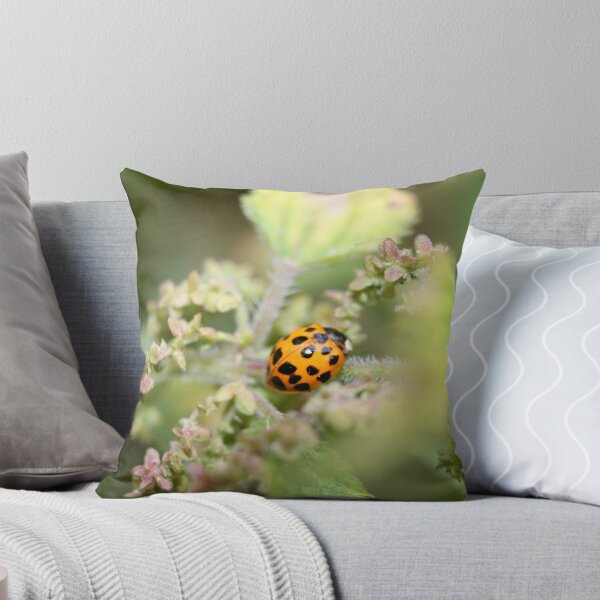Item preview, Harlequin Ladybird designed and sold by GreyFeatherPhot.