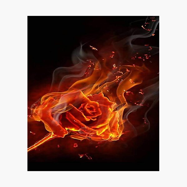 Cyan color. Fire Rose wallpaper for desktop. №17586