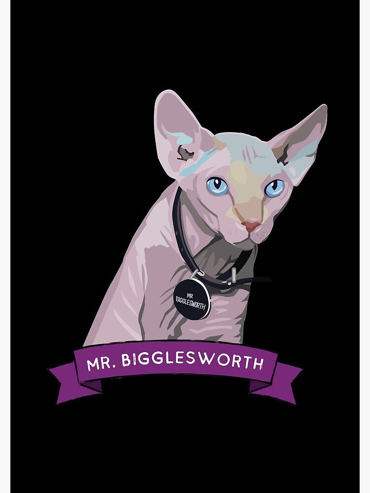 Mr. Bigglesworth