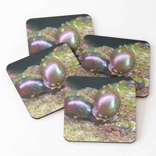 Item preview, ©NS Water Snails On The Shore IA designed and sold by OmarHernandez.