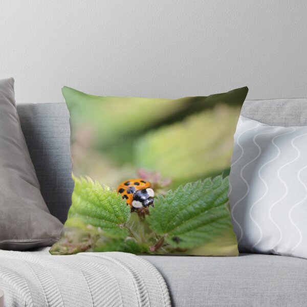 Item preview, Hide & Seek designed and sold by GreyFeatherPhot.