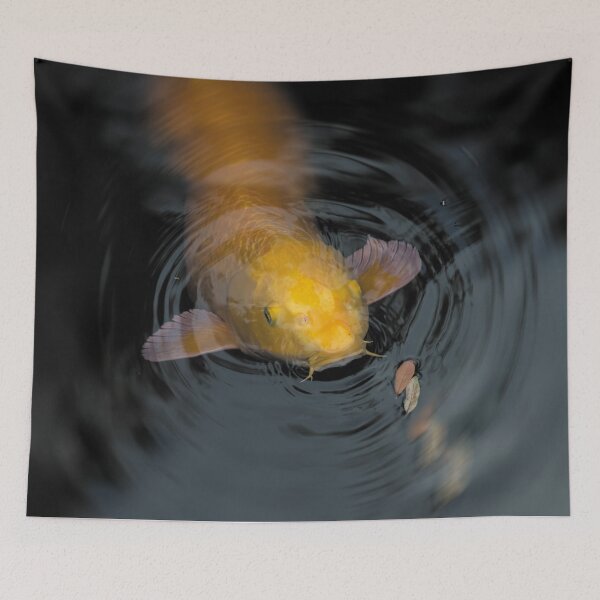 Item preview, Close Up of Single Large Yellow Koi Fish with Whiskers designed and sold by KbytesOfJax Outdoor and Nature.