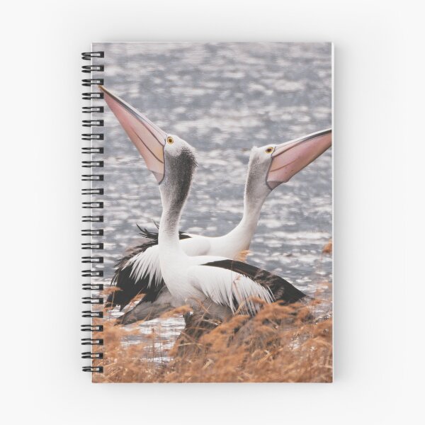 Item preview, Pelican love designed and sold by Nicole a Alley.