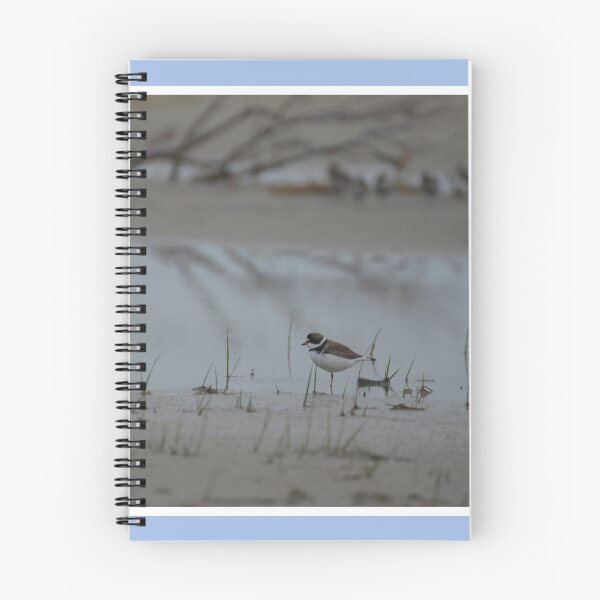 Item preview, Resting Plover designed and sold by LizardSpirit.