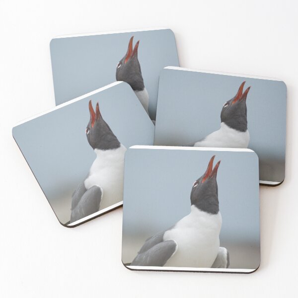 Item preview, Laughng Gull Calling designed and sold by LizardSpirit.