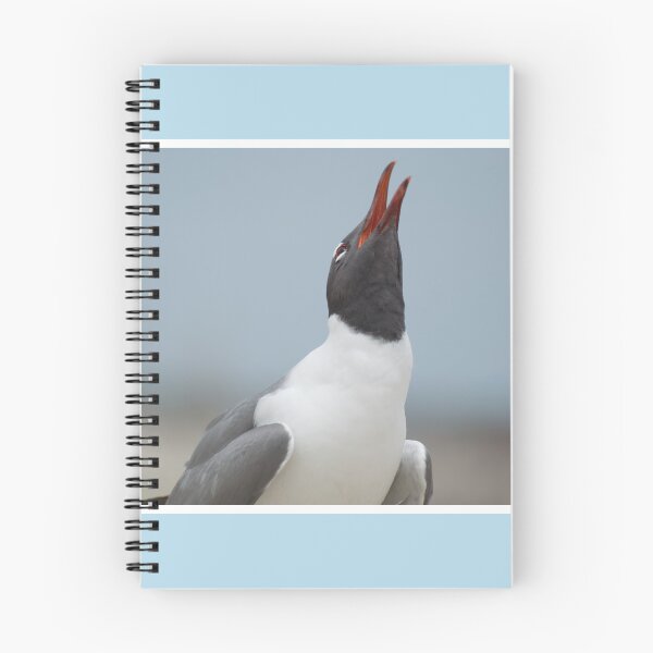 Item preview, Laughng Gull Calling designed and sold by LizardSpirit.