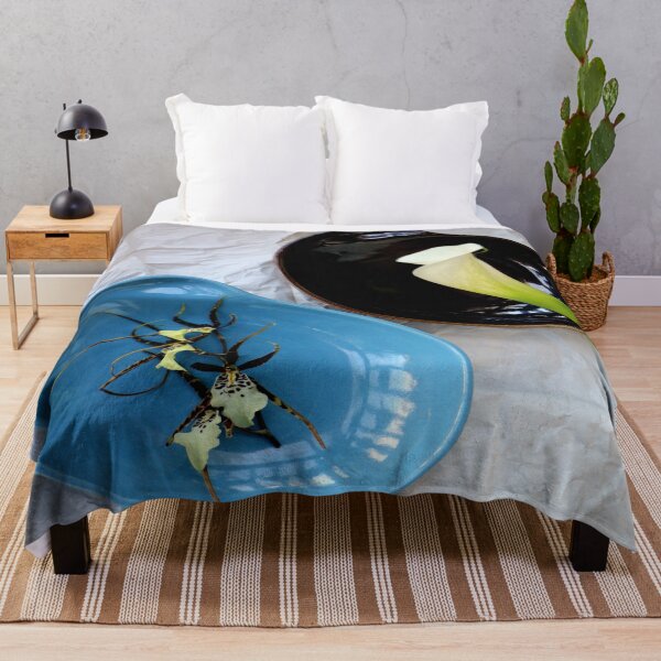 Item preview, uno de color azul oscuro y uno de color cañón con un lirio de tierra y una orquídea araña epífita. Con un fondo de papel de embalaje postal.
El área de Castro de San Francisco.
Canon 70D designed and sold by Michael May.