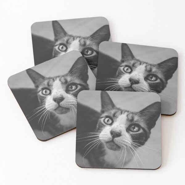 Item preview, Gray Cat looking up designed and sold by Victoria Avvacumova.