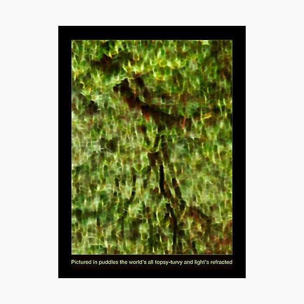Topsy turvy Photographic Print