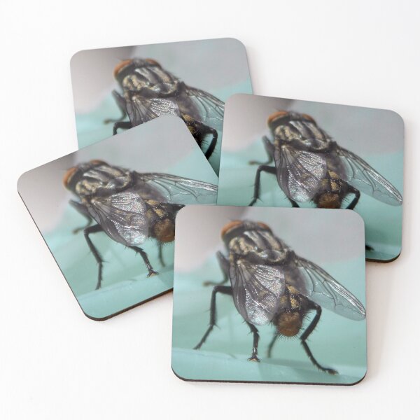 Item preview, ©NS Wings For Flying IA designed and sold by OmarHernandez.