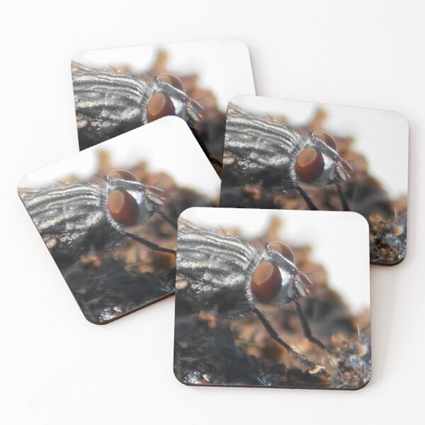 Item preview, ©NS Fly On Hot Day IA designed and sold by OmarHernandez.