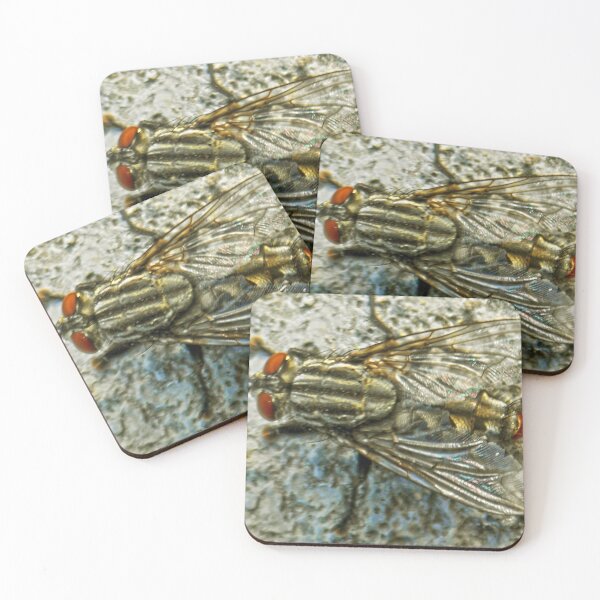 Item preview, ©NS Walking IA designed and sold by OmarHernandez.