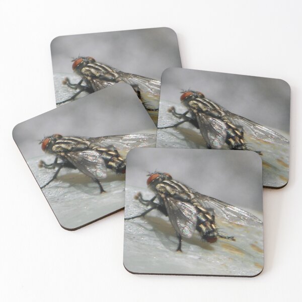 Item preview, ©NS Bravo IA designed and sold by OmarHernandez.