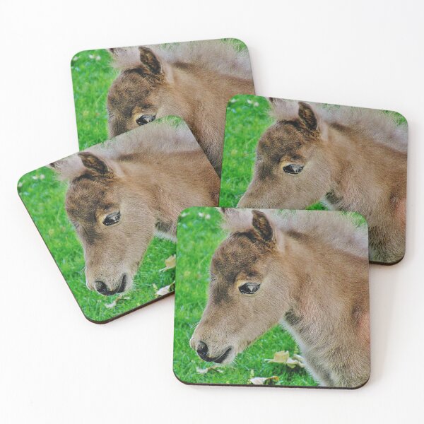 Item preview, Miniature Foal designed and sold by Martha Sherman.