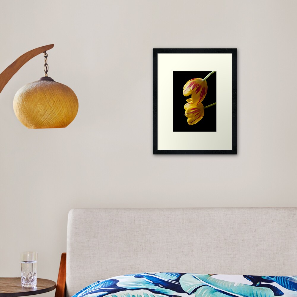 Tulip Treasures Framed Art Print