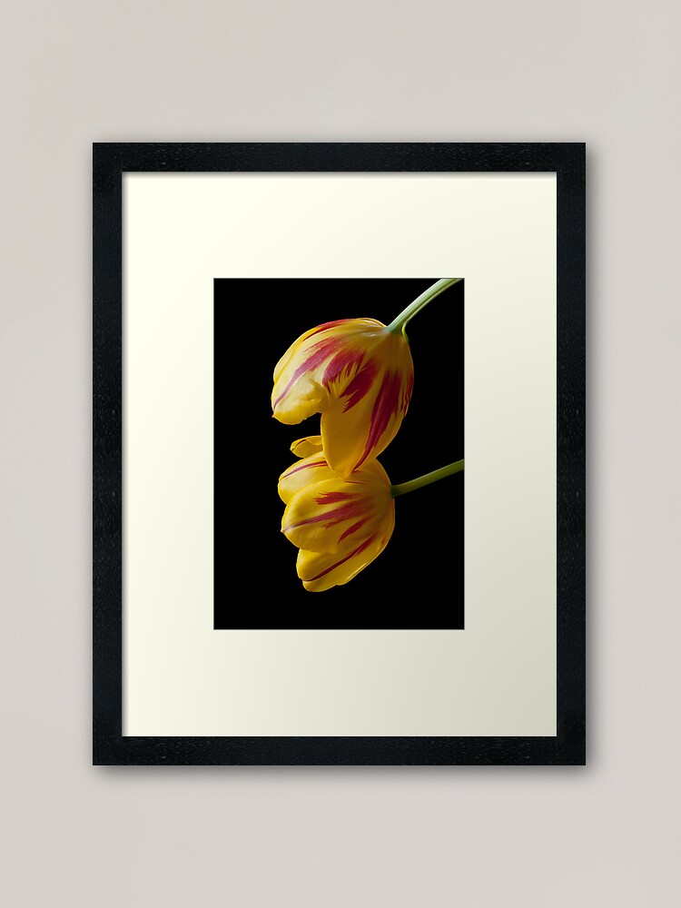 Alternate view of Tulip Treasures Framed Art Print