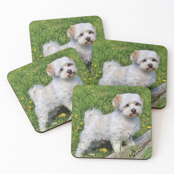 Item preview, No le digas que ella no es Lassie designed and sold by Martha Sherman.