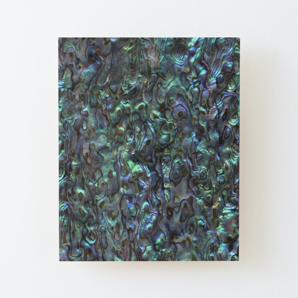 Abalone Shell | Paua Shell | Seashell Patterns | Sea Shells | Natural | Wood Mounted Print