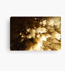 stalactites Canvas Print