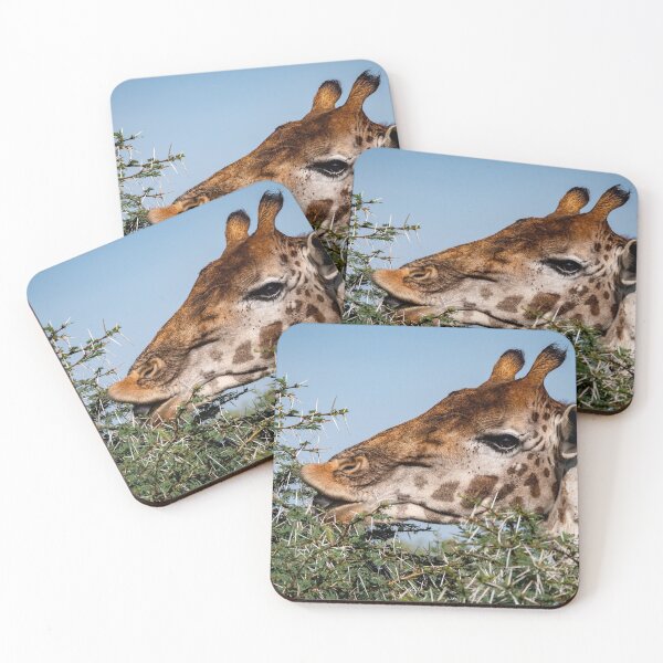 Item preview, Thorny Problem designed and sold by Wild Images.