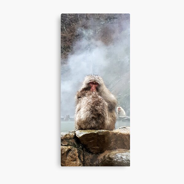 Japanese snow monkey Metal Print