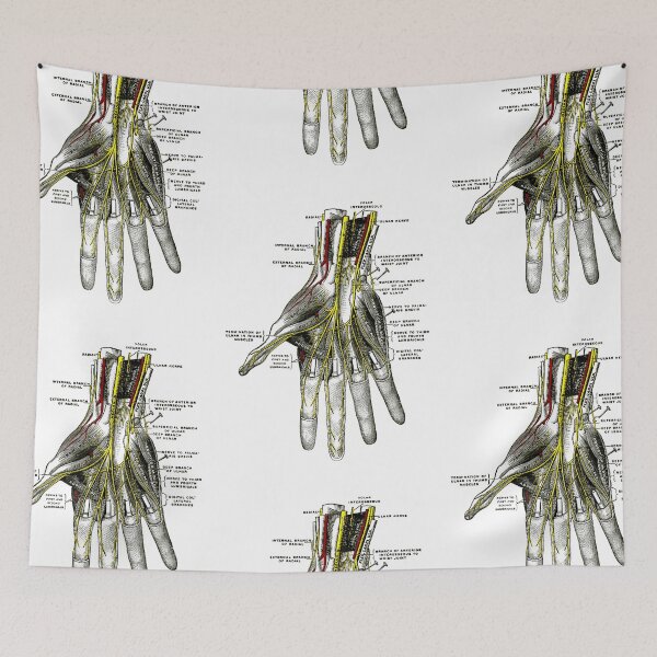 Item preview, Deep Palmer Nerves. (Volar interosseous) designed and sold by timothybeighton.
