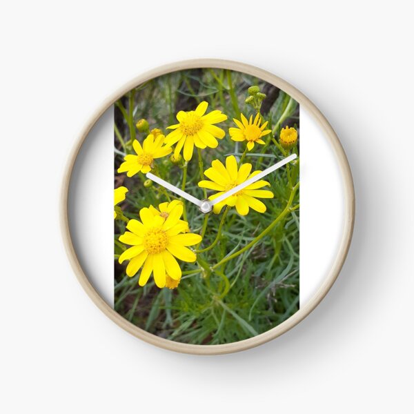 Item preview, Native daisy designed and sold by Wyverntales.