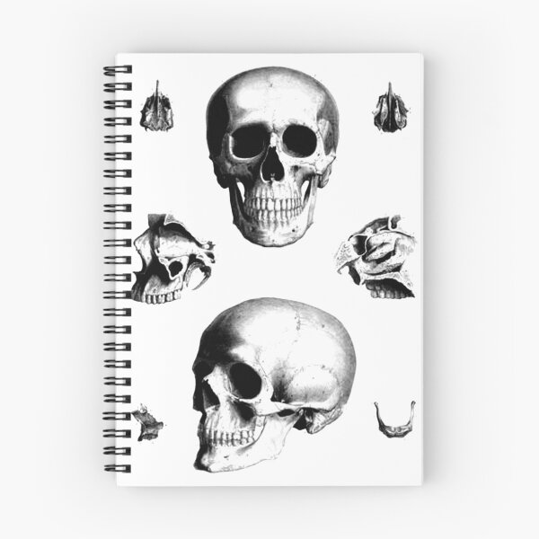 Item preview, Skulls and vertibrae. designed and sold by timothybeighton.