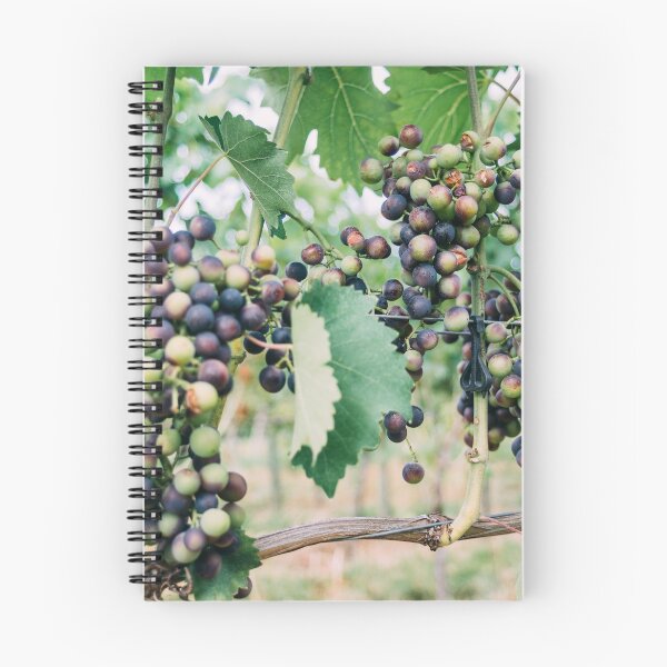 Item preview, Grapes on Grapevine Closeup designed and sold by ppolecho.