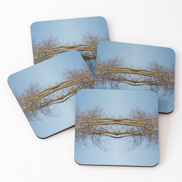 Item preview, Reflected trees designed and sold by steveball.